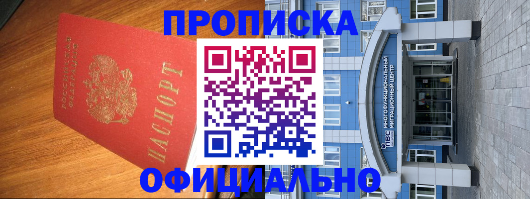 временная регистрация для школы в Чаплыгине